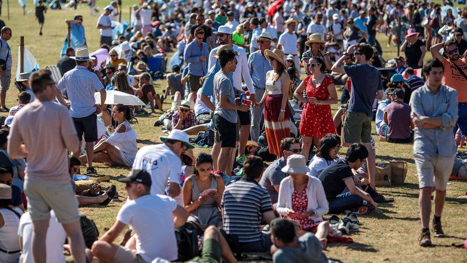 士致力于为 士致力于为