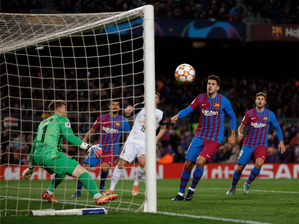 每一轮都可 每一轮都可